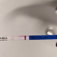 Risultato test di gravidanza canadese..help me!!!! - 1