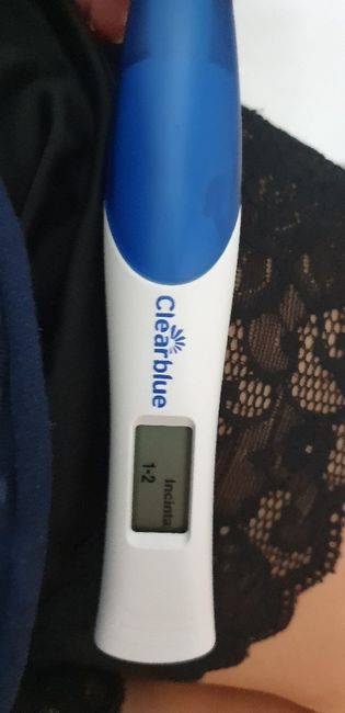 One step gravidanza 3