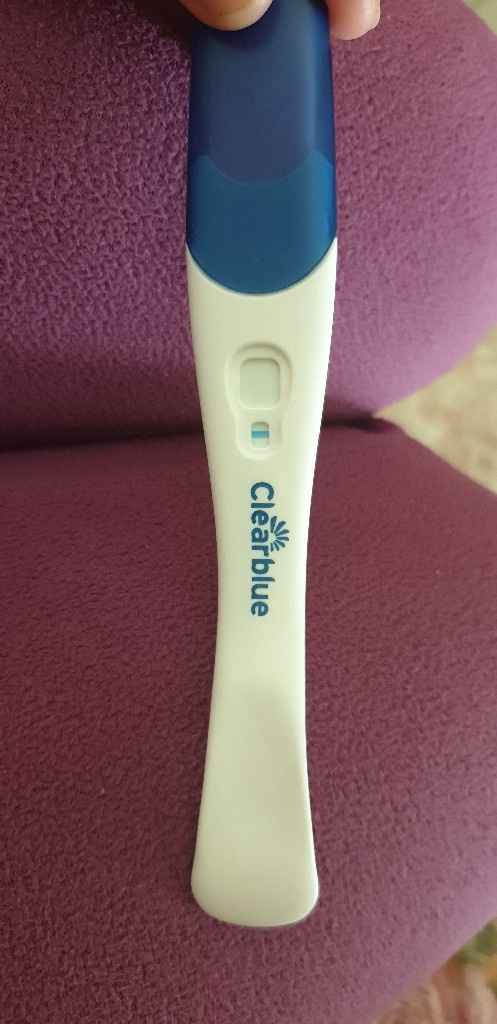 Per chi non le aspetta per febbraio 2020 - 1