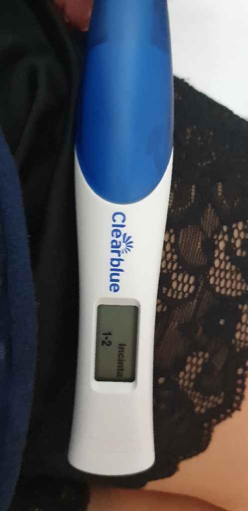 Chi non le aspetta per settembre 2020 🍀🐞🤞🌈🌻🎁🏖️🌞💝 - 1