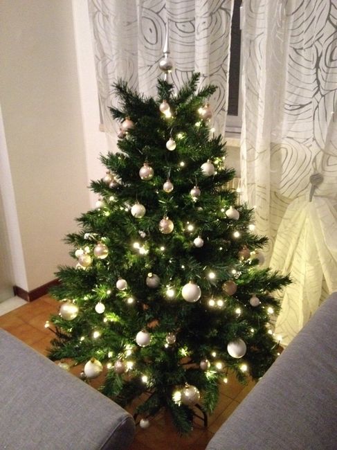 Il nostro albero - 1