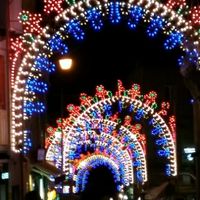 Ragazze di tutte le regioni. ..perché - 7