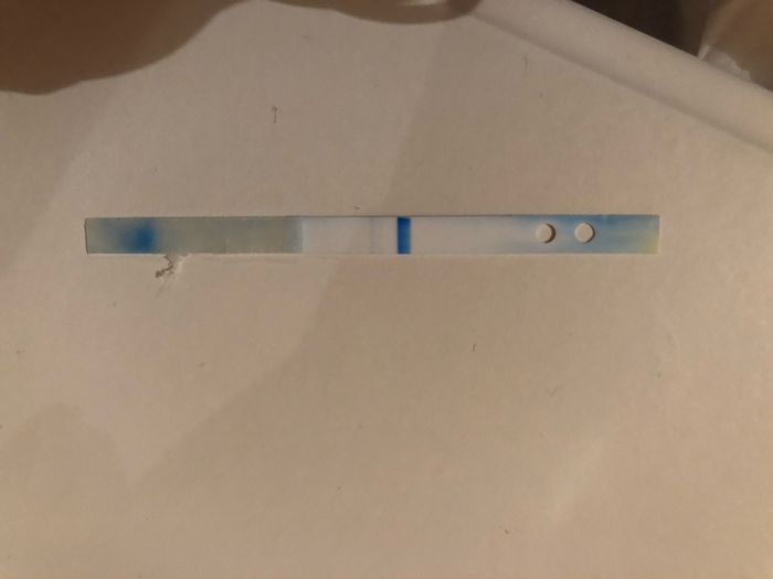 Chi non le aspetta per novembre 2019 2