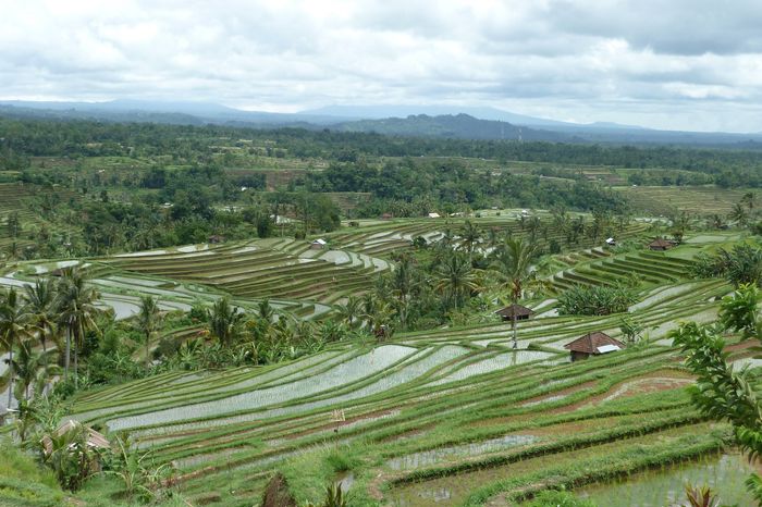 bali indonesia