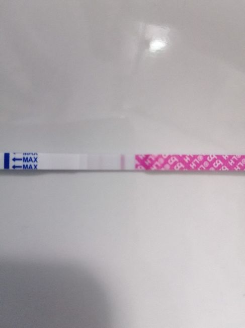 Test ovulazione come test precoce gravidanza.. - 1