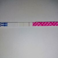 Test ovulazione come test precoce gravidanza.. - 1