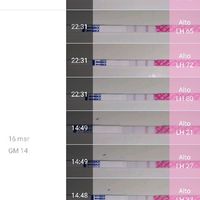 Test ovulazione come test precoce gravidanza.. - 1