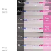 Test ovulazione come test precoce gravidanza.. - 1
