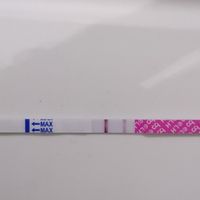 Test ovulazione come test precoce gravidanza.. - 1