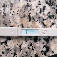 Test ovulazione come test precoce gravidanza.. - 1