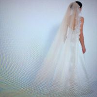 Il velo in colore con pizzo bianco - 2