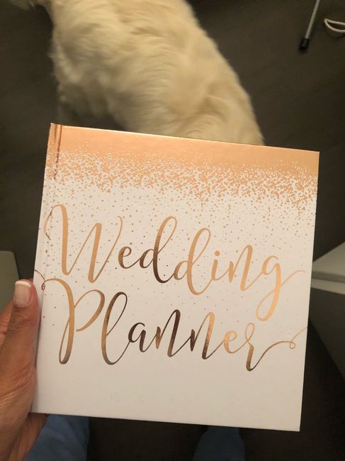 "agenda matrimonio" - 1