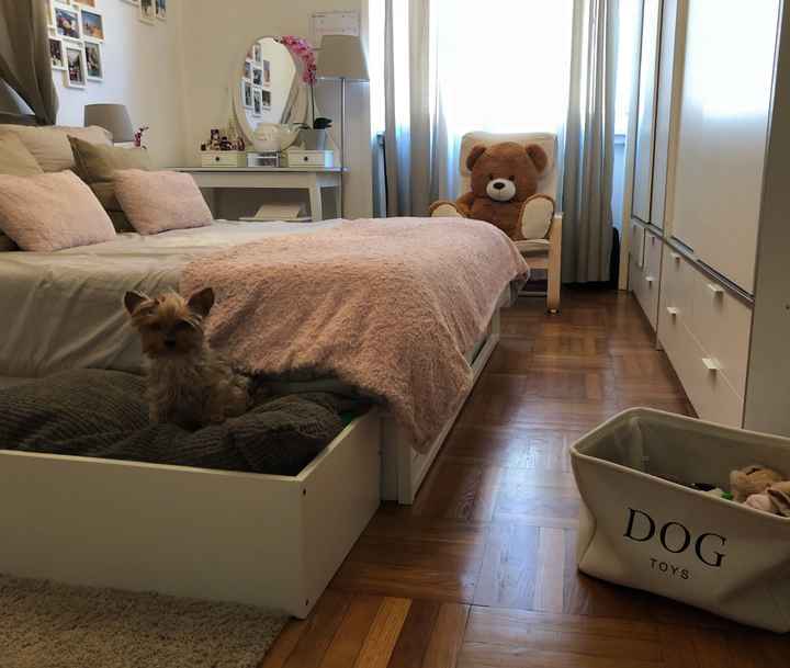 Convivenze pelose!🐶🐱🐹🐰 - 2