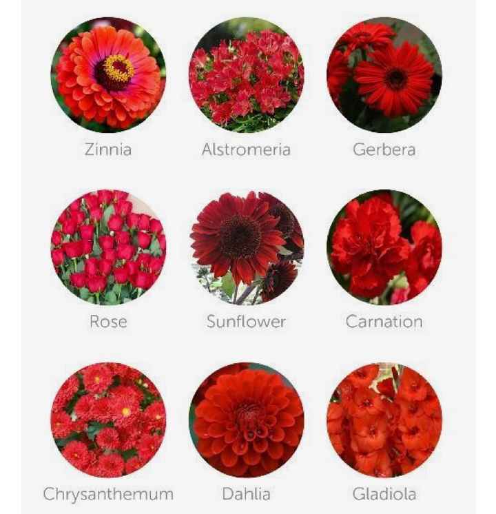  Spose di Settembre: quali fiori? - 2