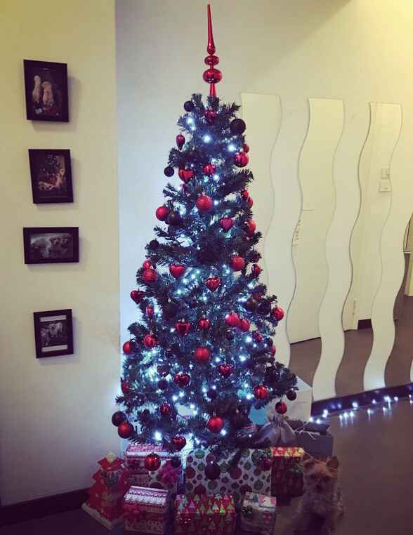  Ultimo Natale.. - 1