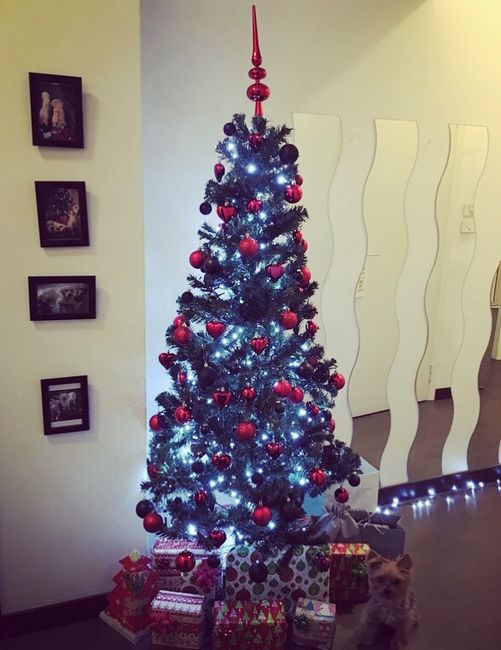  Regalo di natale a fm - 1