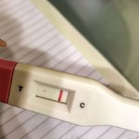 Test di gravidanza - 1