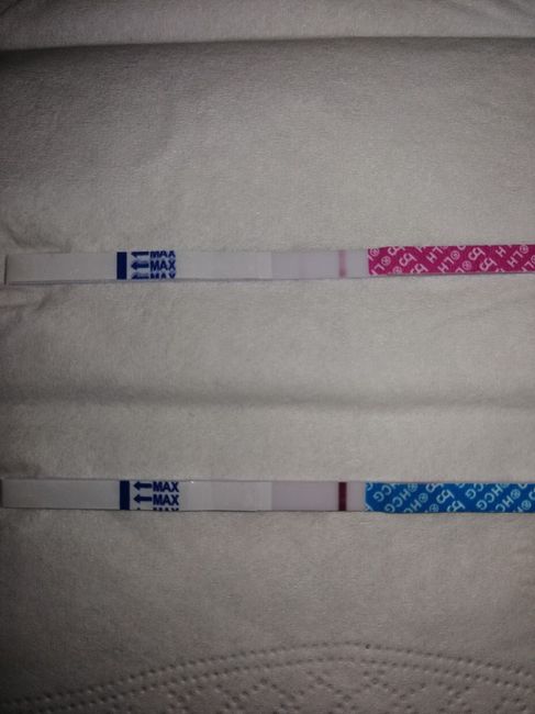 Chi non le aspetta per giugno 2020🥰🤞🏻 - 1