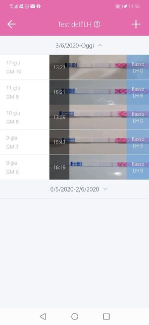 Chi non le aspetta per luglio 2020 🍀🐞🤞🌈🌻 - 1