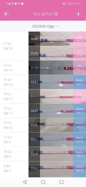 Chi non le aspetta per luglio 2020 🍀🐞🤞🌈🌻 - 1