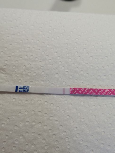 Chi non le aspetta per luglio 2020 🍀🐞🤞🌈🌻 - 1