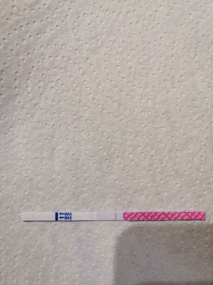 Chi non le aspetta per giugno 2020🥰🤞🏻 - 1