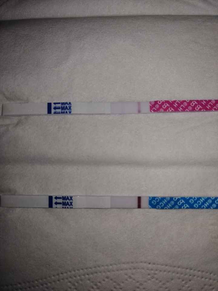 Chi non le aspetta per giugno 2020🥰🤞🏻 - 1