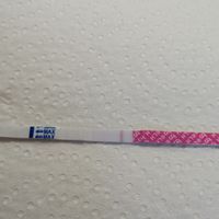 Chi non le aspetta per luglio 2020 🍀🐞🤞🌈🌻 - 1