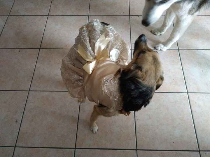  Il mio cucciolo 🐶 👰🏻 - 1