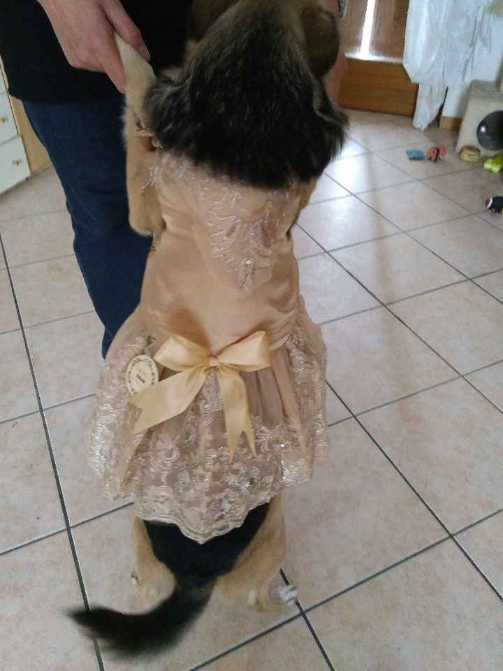  Il mio cucciolo 🐶 👰🏻 - 2