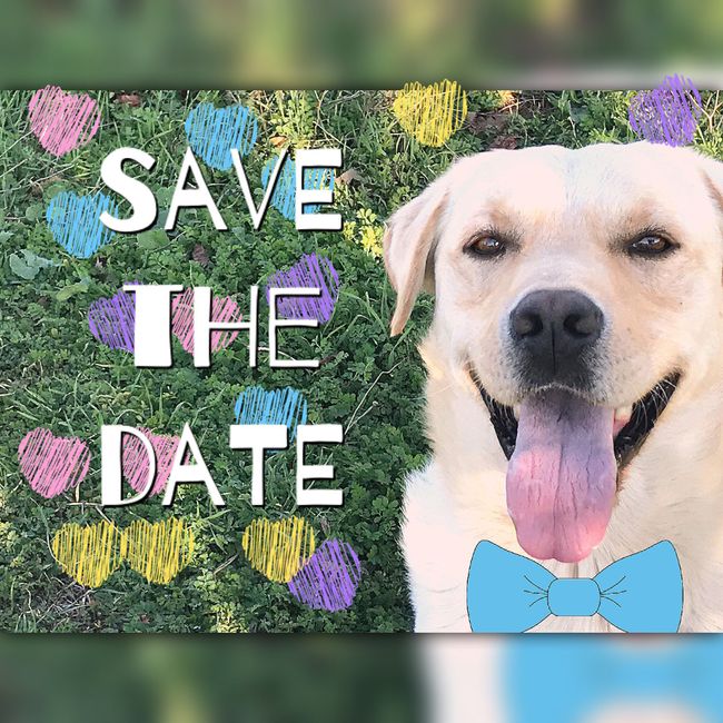  Dubbio sulle partecipazioni? Quando mandarle? Save the date? - 1