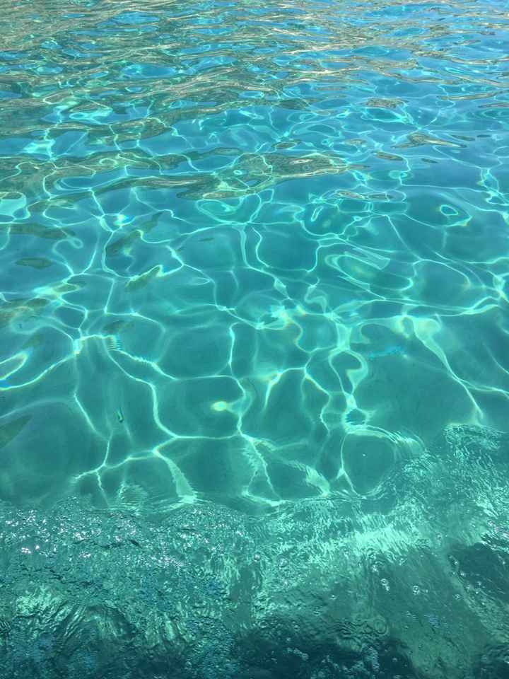 Rodi??! meravigliosa ...! - 14