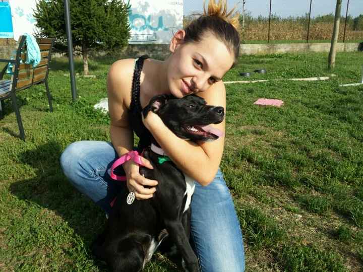 Too cute: i vostri amici animali - 2