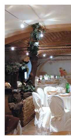 Ricevimento tra gli alberi...foto...