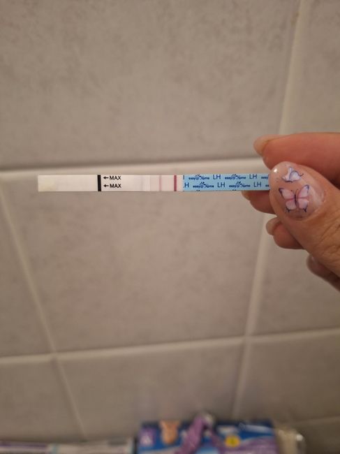 Per chi non le aspetta Maggio,Giugno,Luglio 2024🍀🐞 - 1