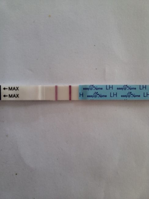 Per chi non le aspetta Maggio,Giugno,Luglio 2024🍀🐞 - 1