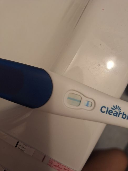 Per chi non le aspetta Luglio, Agosto Settembre e Ottobre 2024🍀🐞 - 1