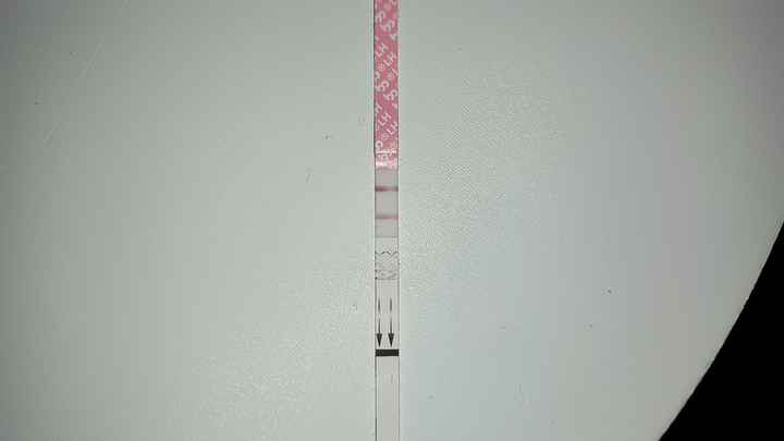 Chi non le aspetta per Aprile 2022 💓🍀🤞🏼 - 2