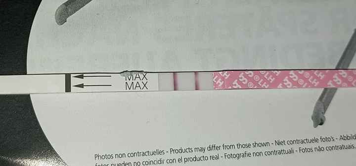 Chi non le aspetta per Aprile 2022 💓🍀🤞🏼 - 1