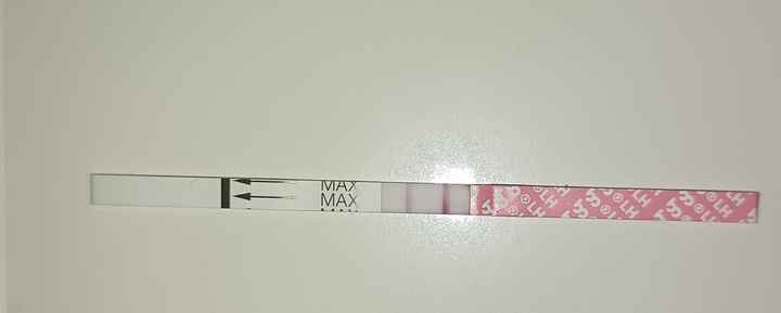 Chi non le aspetta per Aprile 2022 💓🍀🤞🏼 - 1