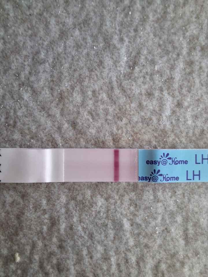 Per chi non le aspetta Aprile/maggio 2024🍀🐞 - 1