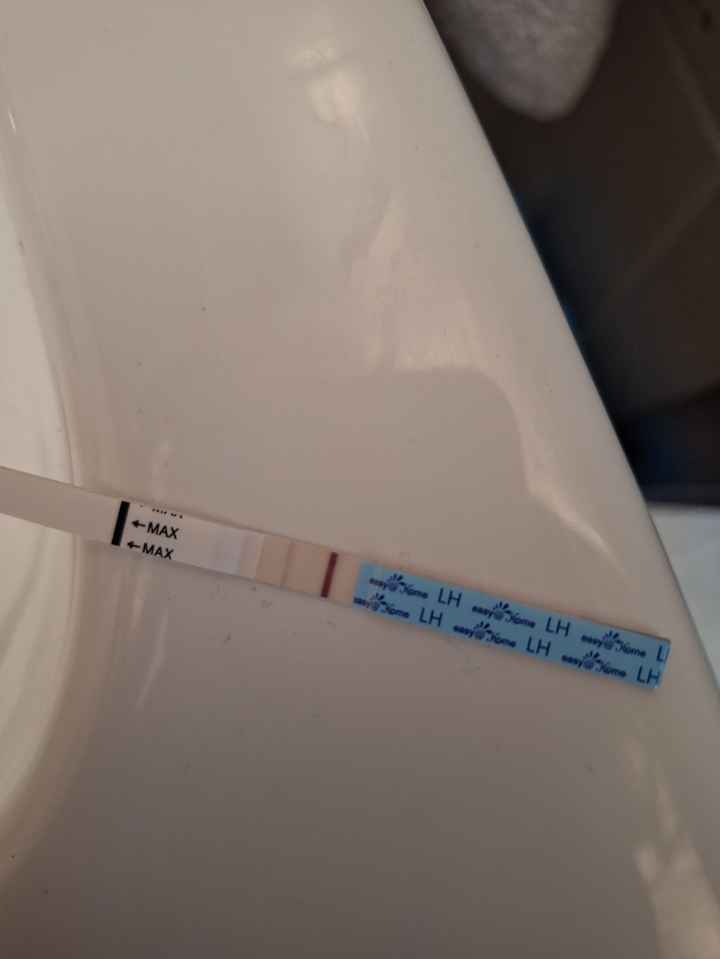 Per chi non le aspetta Maggio,Giugno,Luglio 2024🍀🐞 - 1