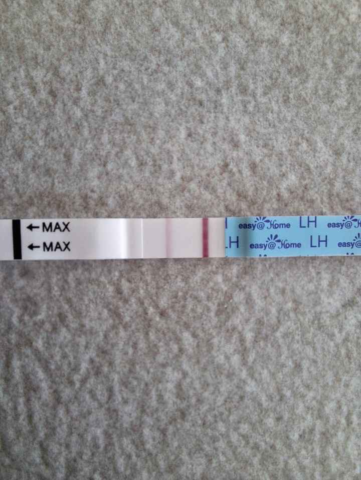 Per chi non le aspetta Maggio,Giugno,Luglio 2024🍀🐞 - 1