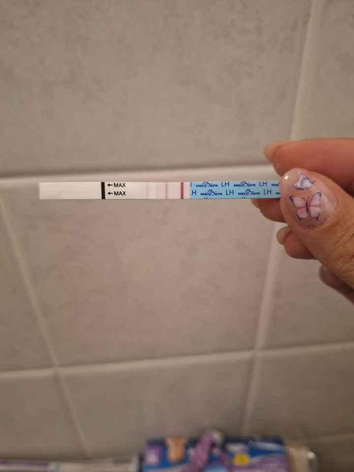 Per chi non le aspetta Maggio,Giugno,Luglio 2024🍀🐞 - 1