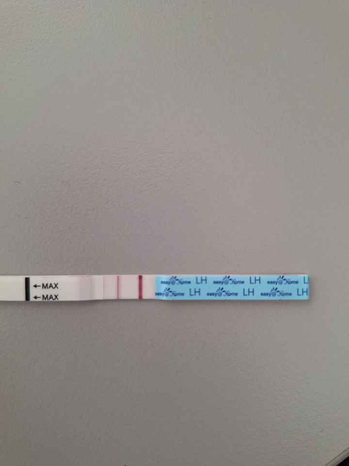 Per chi non le aspetta Maggio,Giugno,Luglio 2024🍀🐞 - 1