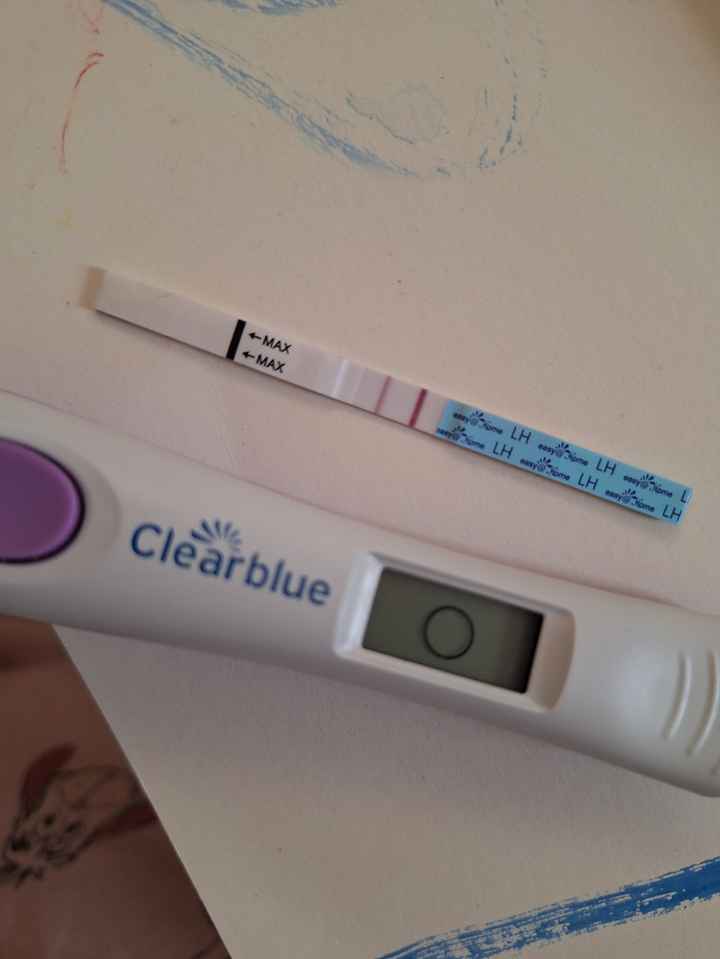 Per chi non le aspetta Maggio,Giugno,Luglio 2024🍀🐞 - 1