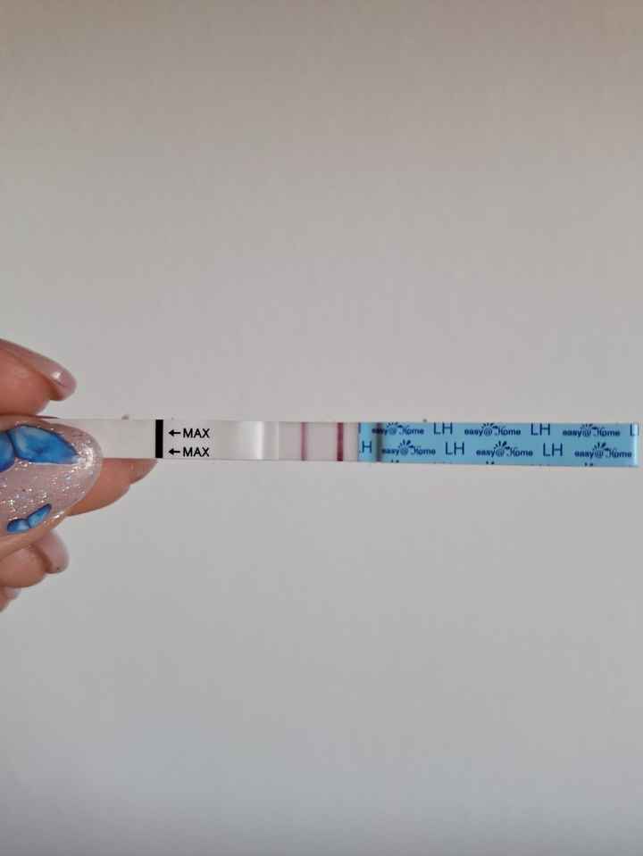 Per chi non le aspetta Maggio,Giugno,Luglio 2024🍀🐞 - 1