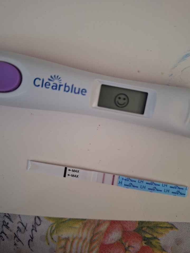 Per chi non le aspetta Maggio,Giugno,Luglio 2024🍀🐞 - 1