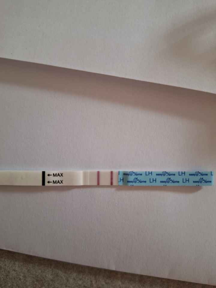 Per chi non le aspetta Maggio,Giugno,Luglio 2024🍀🐞 - 1