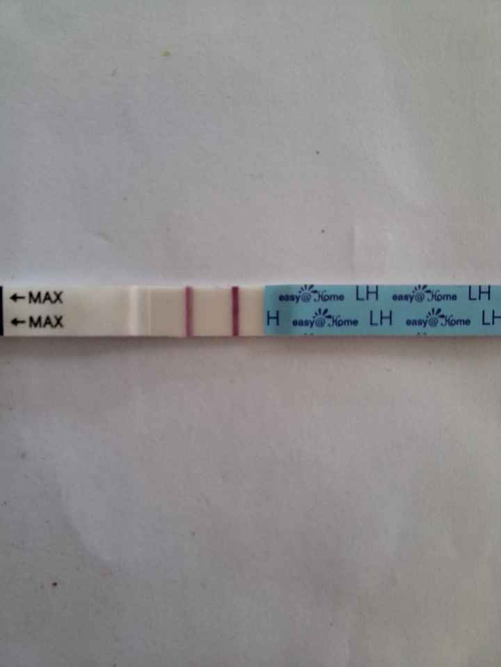 Per chi non le aspetta Maggio,Giugno,Luglio 2024🍀🐞 - 1